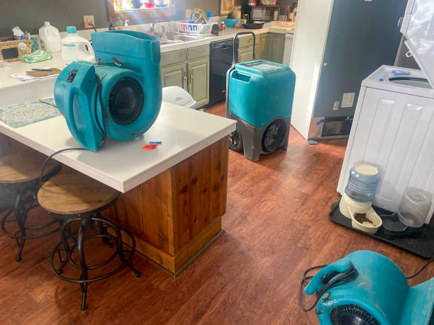 Best Basement water damage restoration  in Santa Barbara, CA