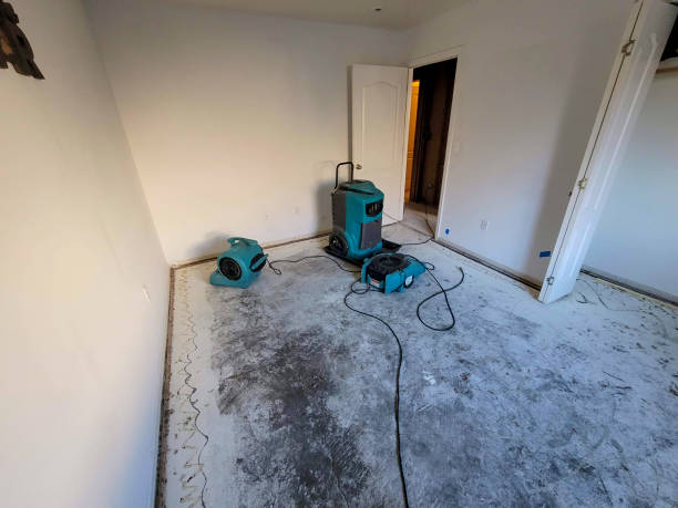 Best Mold removal after water damage  in Santa Barbara, CA