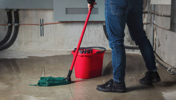 Best Fire Damage Restoration  in Santa Barbara, CA