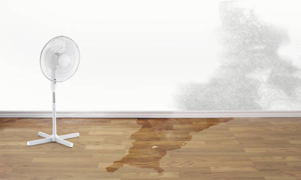 Water damage restoration process in Santa Barbara, CA