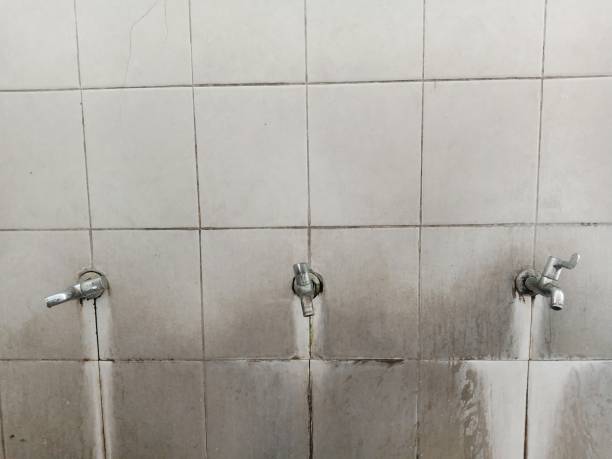 Best 24-hour water damage restoration  in Santa Barbara, CA