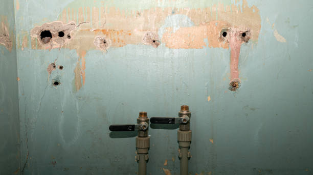 Best Residential water damage restoration  in Santa Barbara, CA