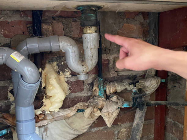 Best Water damage restoration process  in Santa Barbara, CA